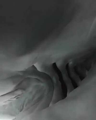 Shark swallows diver's camera, captures video inside its body