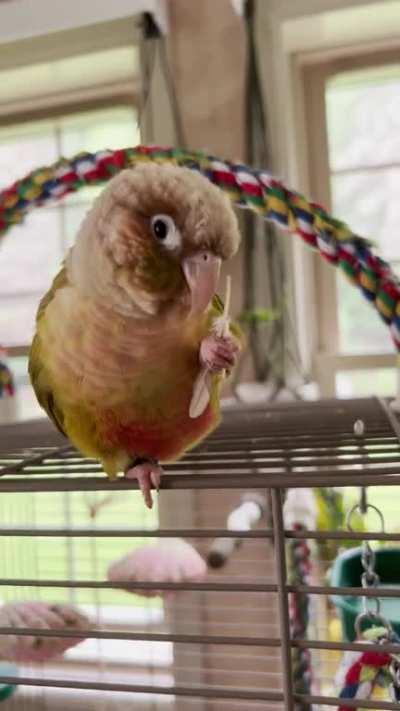 Weirdo makes her own hair picks