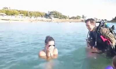 Just a happy day at the beach when suddenly....