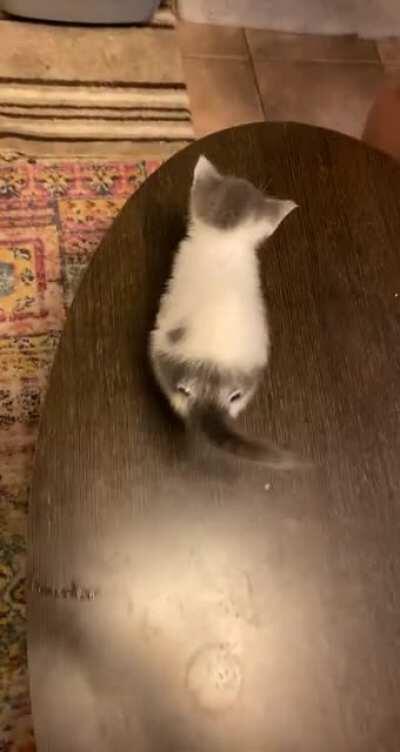 Googly eyes cat butt costume (turn off sound)