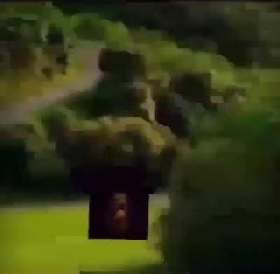 Five nite frede guimpscarie