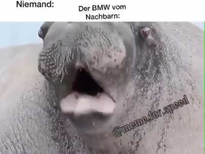 Ich🦛iel