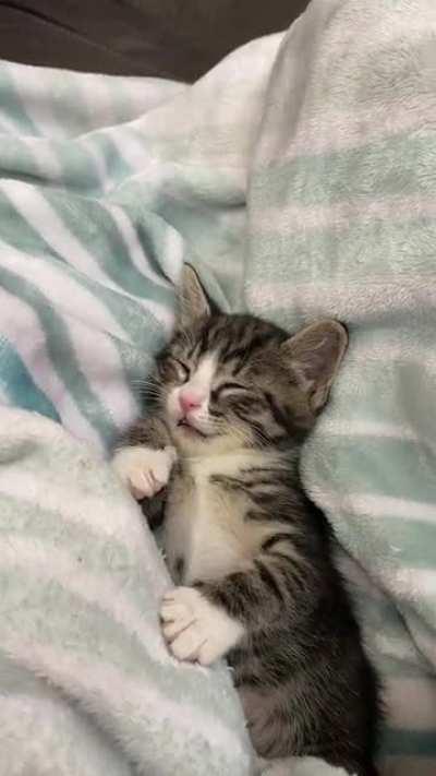 Dreaming of bottle noms