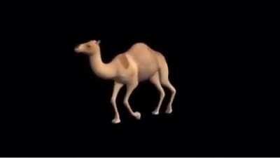 الله نيغا فليكس الله نيغا الجمل camel