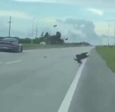 A very costly wheelie [Credit: u/weshenrique]