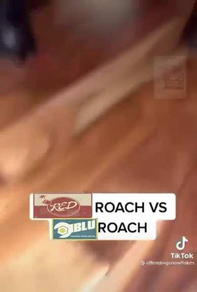 A mate of mine really wanted me to make this (I dont use reddit much so I'm not sure if there is sound)