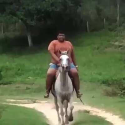 Vim de cavalo pro reddit