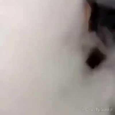 Yo um... Don't ask me where i found this.