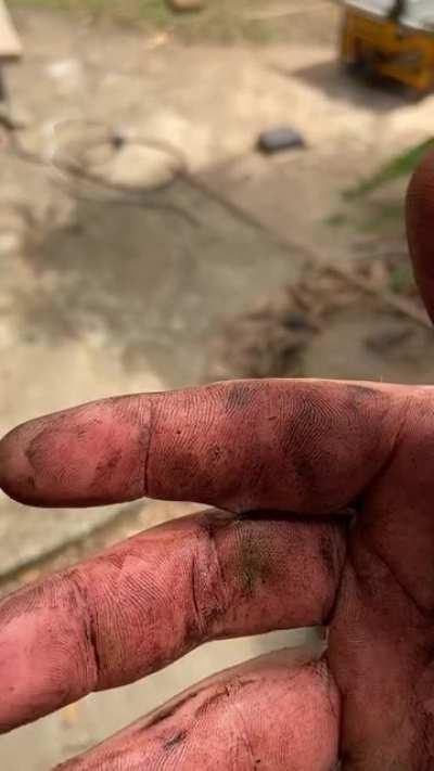 Splinter through one of my fingers into the other. Please excuse that little bit of dirt under my fingernails if you spot it.