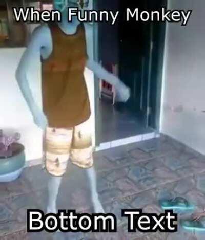 bonsai - funee monkee gif