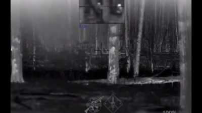 UA SOF fighting in Kreminna Forest, 2024 [Enemy Visible]