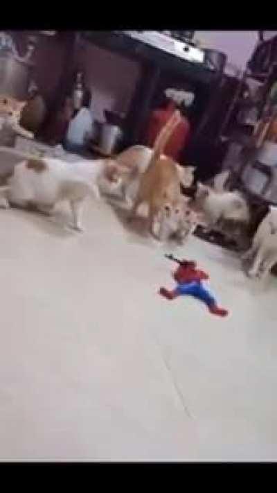 Careful let's approach this thing with care