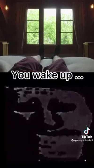 Is this ours or Sean’s dream …