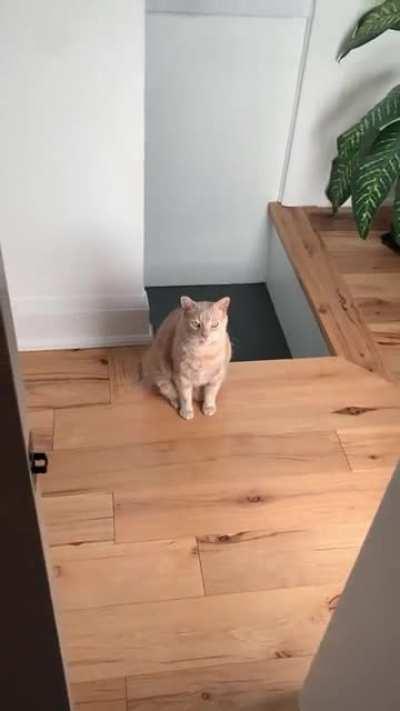 How dare human shower with the door closed