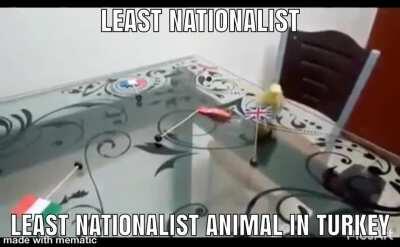 Next step is genocid