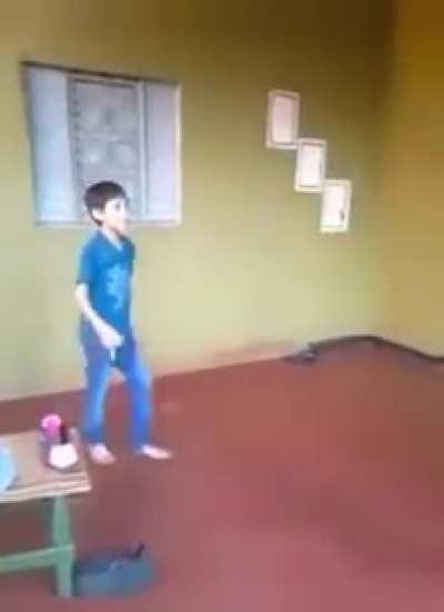 The kid went wall out. r/unexpected