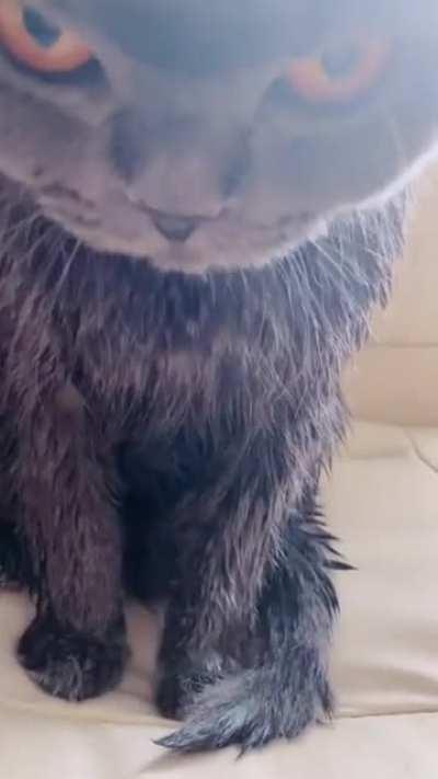 Looks like he didnt like his bath