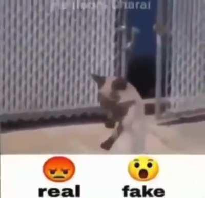 Haters will say it's fake