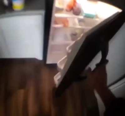 Yo who tf put Michael Jackson in the fridge?