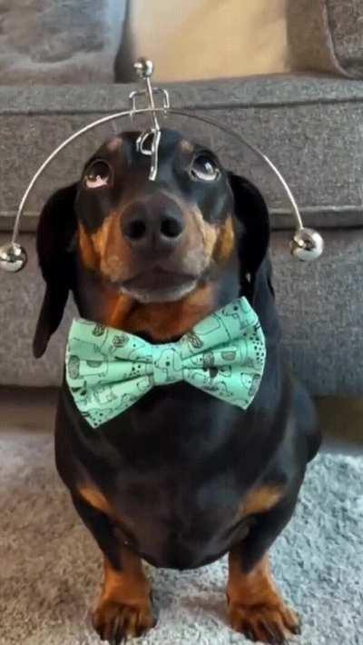 Perfectly Balanced, As All Things Should Be