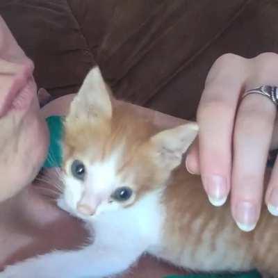 Smoll-fry's deadly attack caught on camera