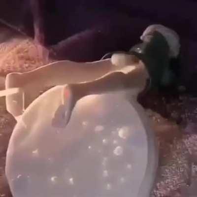 Gayspiderbrothel mod group activities