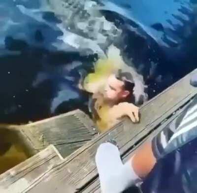 See you later alligator