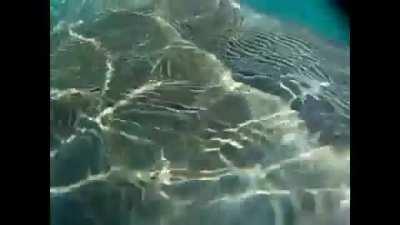 so do you guys like this stuff?