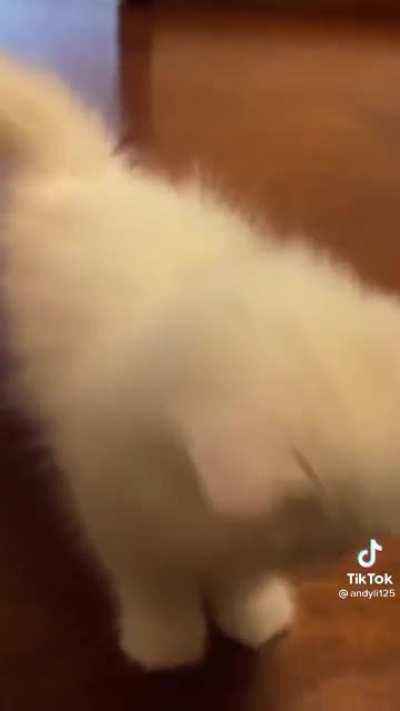 This is soo adorable 😭😍