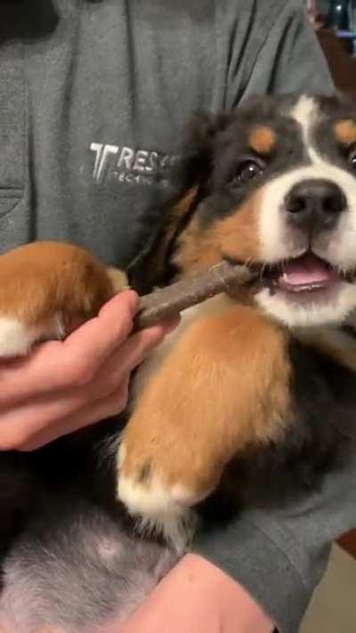 Taking a snack break