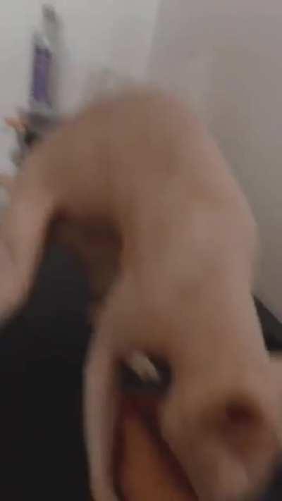 Thanks I hate ringing the bells