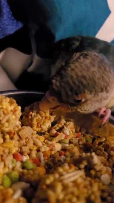 I choose the seed ball.