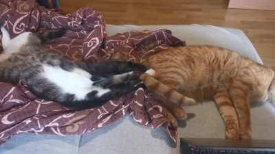 ... to each other too