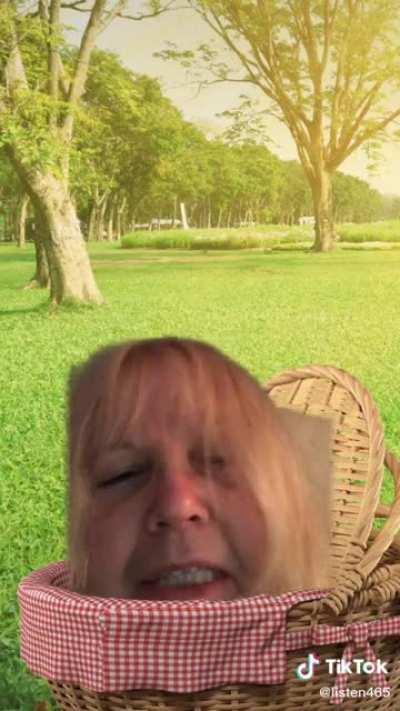 Please leave yogi bear out of this