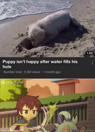 She even bullies puppy’s!!!