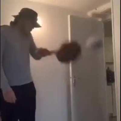 Blursed move it move it