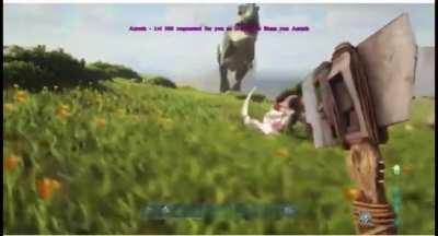 So this happened earlier and I decided to make an edit out of it