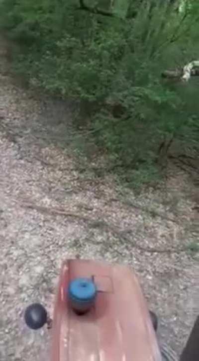 O roată dusă pe pulă