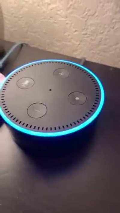 Dude flirting with Alexa 🤣🤣