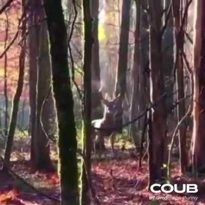 Nature is healing...