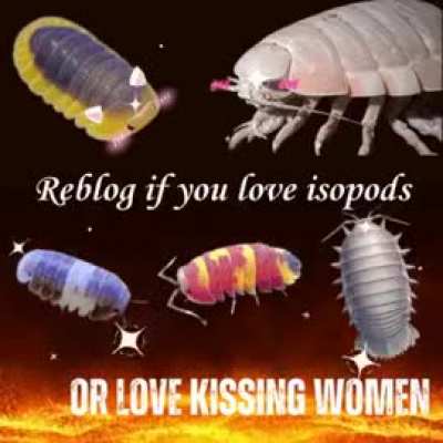 Are isopods the cutest pods? Discuss 