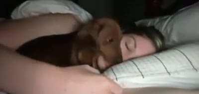 somebody told me that I must share it here