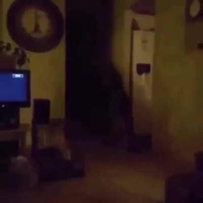 POV: you're hiding and the ghost finds you