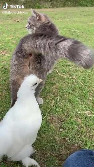 Just because it puckers doesn’t mean I want a kiss