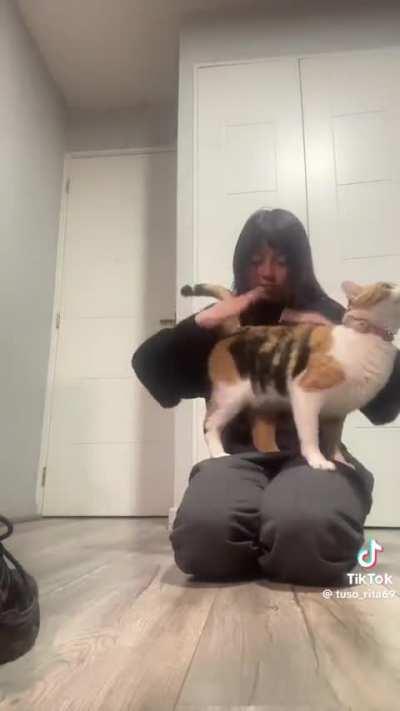 the biggest bongos you've ever seen