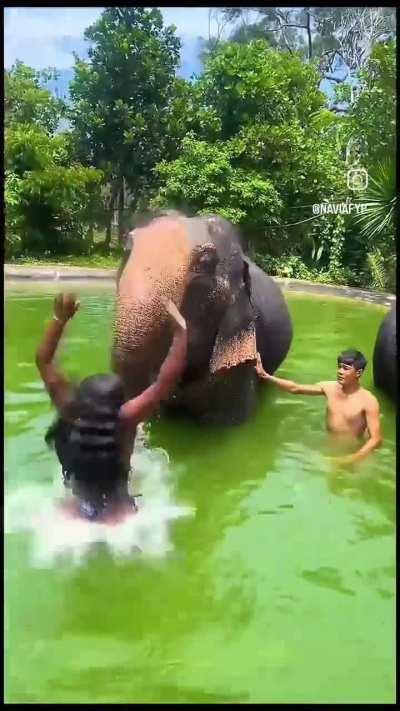 Lucky animal...