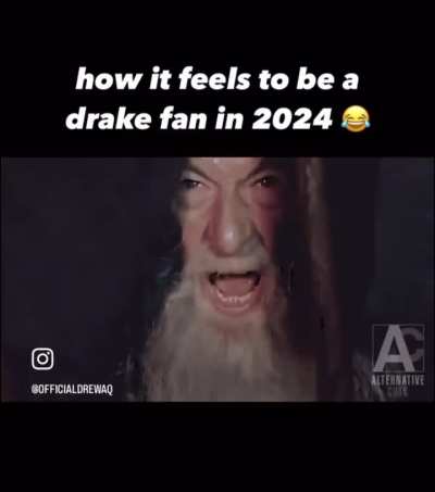 Based on a true story! 😂🦉🦉