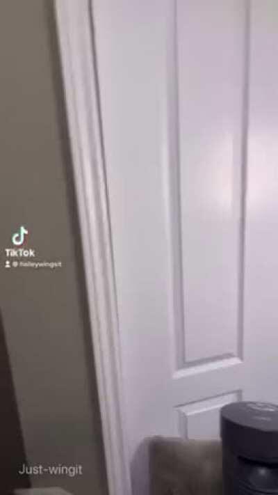 [OC] Don’t blink or you’ll miss something