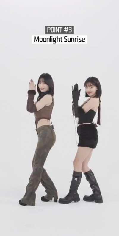 230126 TikTok Update - Let's do the sun and moon dance with MOJI 🕺(Momo and Jihyo)