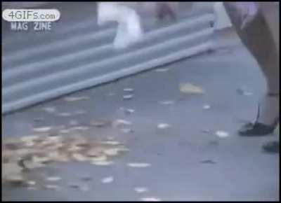 im not sorry fuck you